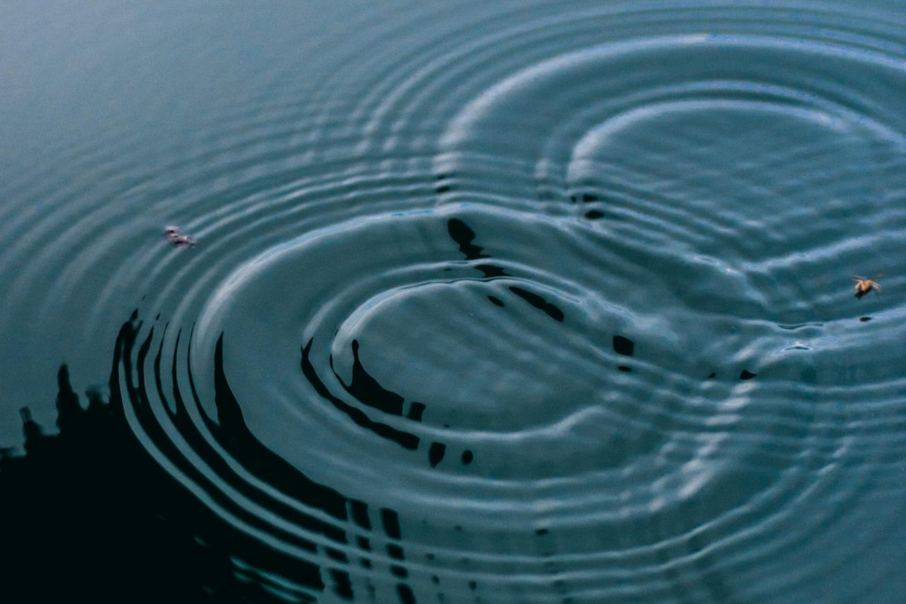 Foto: Ondas de agua: Entrenar la calma: el gimnasio del sistema nervioso — Lic. Viviana Baccarat